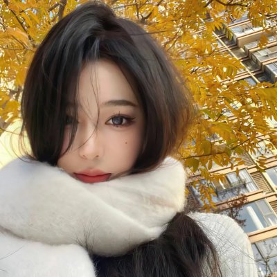 神驹黑美人